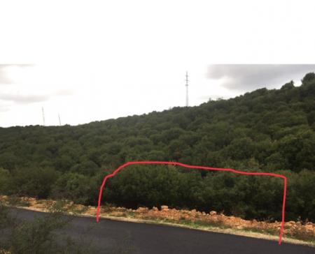 ارض856م في أنان