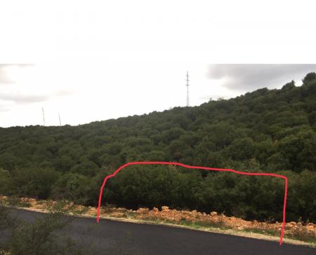 ارض856م في أنان